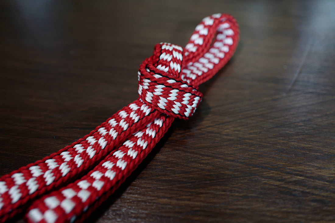 Red rocket camera strap.  Explorers on the Moon... [One-of-a-kind item]