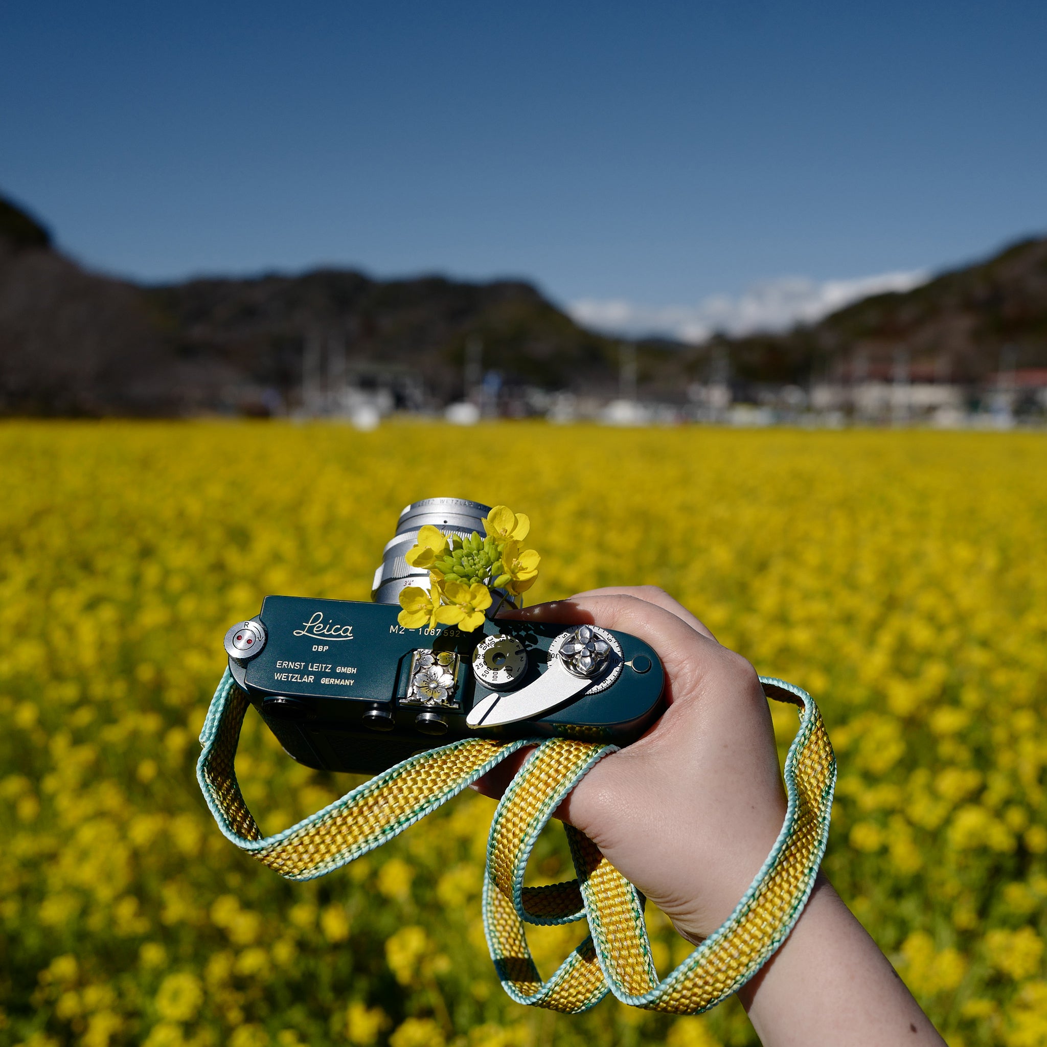 202202271_1_dbc3f8cb-5a13-4f91